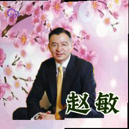 赵敏